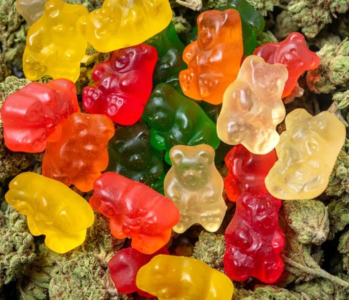 THC GUMMY BEARS 500mg